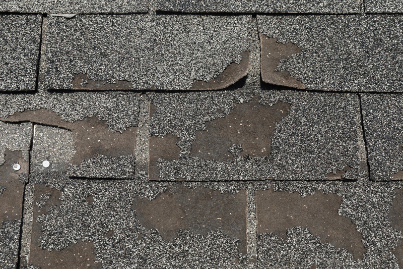 Close-up of damaged roof shingles with missing granules and exposed, worn surfaces, indicating deterioration and weathering.