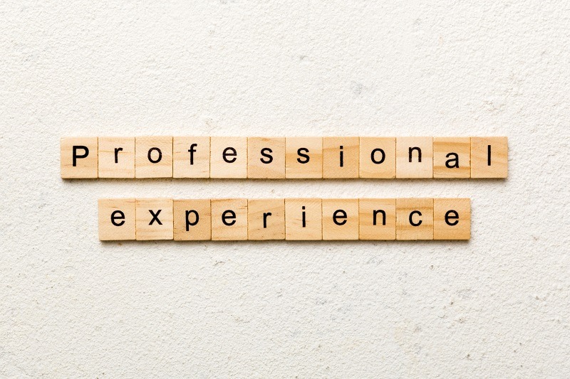 Wooden letter tiles spell out “Professional experience” in two rows on a light textured surface.