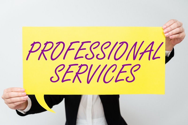 Person in business attire holding a large yellow sign with the words PROFESSIONAL SERVICES written in bold purple letters. The background is plain and light-colored.