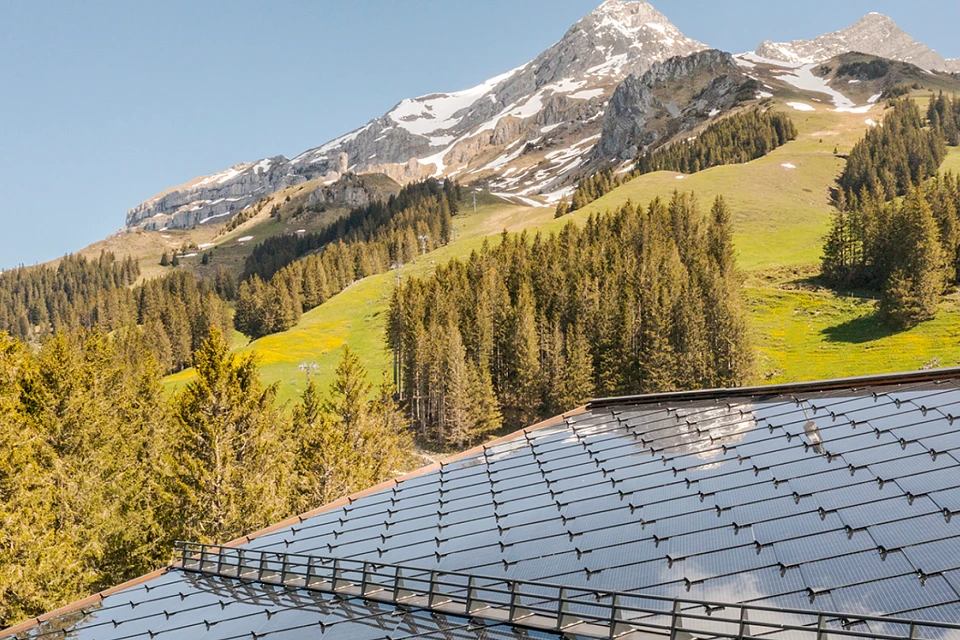 Solar panels cover a rooftop in the foreground, with a scenic backdrop of pine trees, green hills, and a snow-capped mountain peak under a clear blue sky.