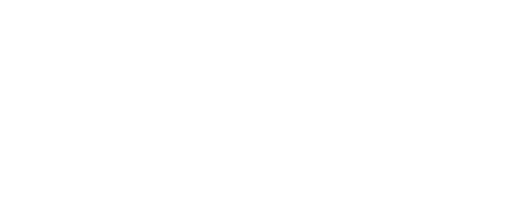 The image is completely blank with a solid white background and no visible objects, text, or features.