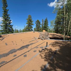 A weathered flat roof with a stone chimney, surrounded by pine trees under a clear blue sky.