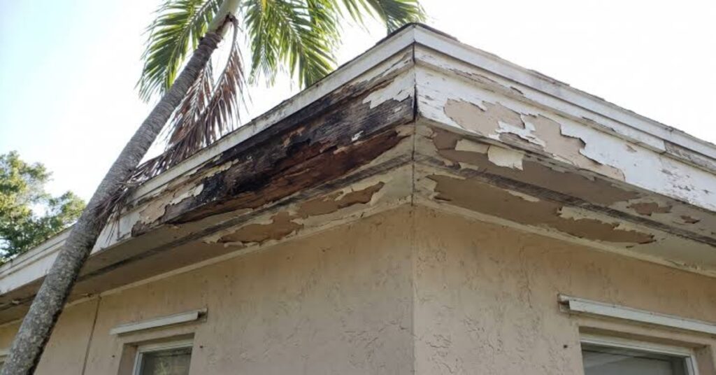 Fascia and Soffit Damage